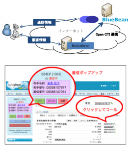 201311118-BlueBean-Salesforce-Open-CTI-269x300